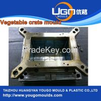 China factory for plastic mould injection and plastic folding crates mould