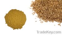 Sell Dried Cumin Seeds & Powder