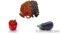 Sell Dried Peeled Vegetables