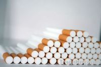 Filtered Cigarette Tubes
