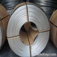 Copper Wire Scraps Suppliers | Copper Scrap Exporters | Copper Scrap Manufacturers | Cheap Copper Scrap | Wholesale Copper Scraps | Discounted Copper Scrap | Bulk Copper Scraps | Copper Scrap Buyer | Import Copper Scrap | Copper Scrap Importers | Copper S