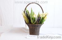 Sell Willow Basket