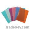 Sell folder with swing clip translucid(F2026)
