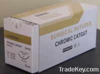 Sell Catgut Sutures