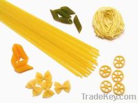 Sell Pasta from Egypt