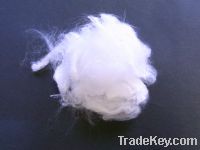 Sell Polyester/PE composite fiber offgrade