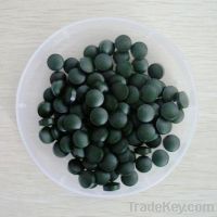 nutrition spirulina tablet in bulk