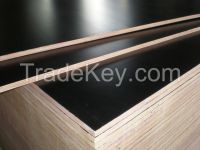 Sell film faced plywood melamine/MR/Phenolic Glue