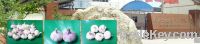 agricultural  products exporter