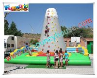 Sell inflatable climbing wall/Inflatable rock climbing