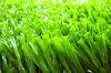 Sell 8800D tex PE fibrillated artificial grass for fustal
