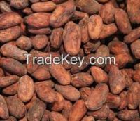 Cocoa Beans