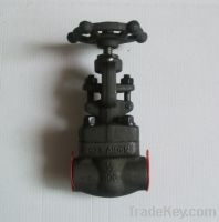 Globe Valve with Forged and Needle Type, Made of Forged Steel