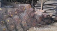 2000 M.T Red sandalwood for sale legally