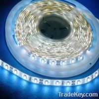 5m/roll 60leds/m waterproof led strip light