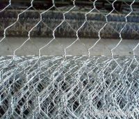 hot dipped galvanized hexagonal wire mesh