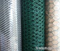 hexagonal wire netting