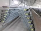 sell   battery cages