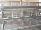 sell   battery cages