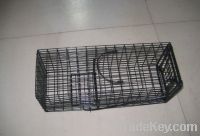 Sell Folding catch cage