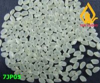 Sell Japonica Rice 5% Broken