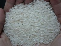 Sell 504 White Rice 5% Broken