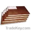 Eucalyptus Core Veneer For Plywood