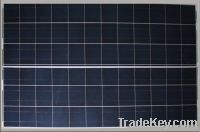 Sell polycrystalline photovoltaic module