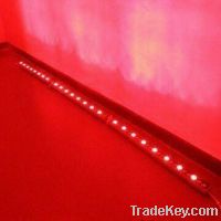 LED wall washer light