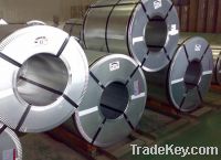 Sell Hot Dip Galvanized Steel Coils