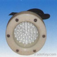 LED Subaqueous Festoon Lamp (Plastic)-1