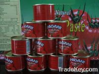 Sell 70g canned tomato paste