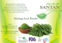 Moringa Leaf Powder Price