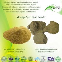 High Quality Natural Moringa Plant Cake Powder