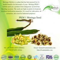 Moringa Supergenius Pkm 1 Seeds