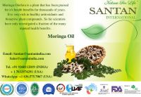 organic natural bulk moringa oleifera seed extract oil