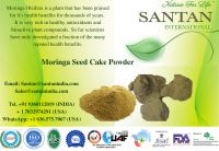 Non GMO Moringa Seed Cake Powder