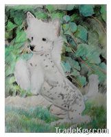 Sell Color Pencil Pet Portrait Painting from photo