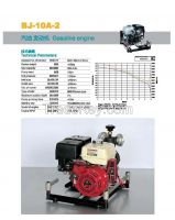 Sell Gasoline engine BJ-10A-2