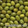 Sell green mung beans