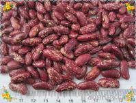 Sell red or purple speckled kidney beans