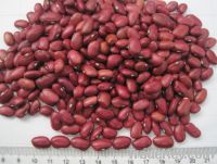 Sell Red Kidney Beans