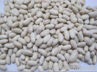 Sell white kidney beans Baishake type