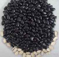 Sell Black beans