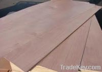 Commercial Plywood