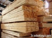 Apitong saw timber