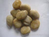 Sell yellow pebble landscaping gravel
