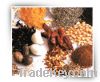 Sell Whole Spices