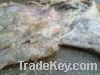 Sell wet salted cow head skin