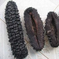 Sell Prickly fish (dried sea cucumber)